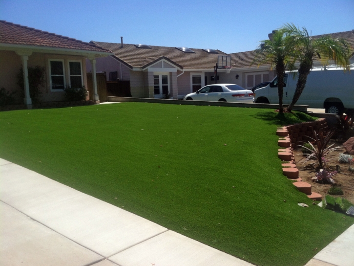 Synthetic Turf Lake Buena Vista Florida Landscape Back