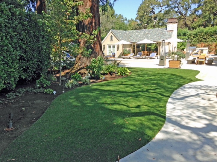Synthetic Turf Lake Hart Florida Landscape Front Yard