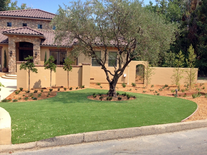 Synthetic Turf Longwood Florida Landscape Front Yard