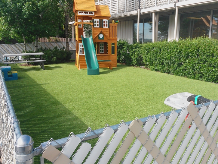 Synthetic Turf Melbourne Florida Kindergarten Front Yard