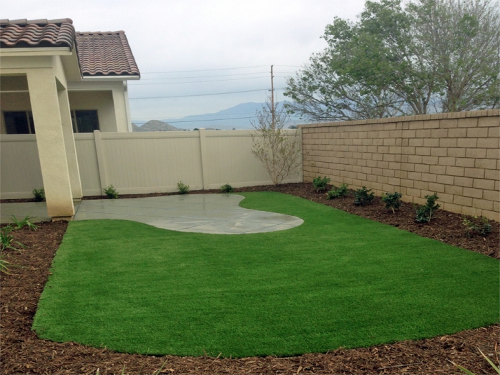 Synthetic Turf San Antonio Florida Landscape