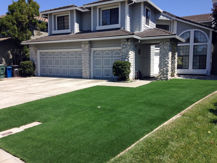 Synthetic Turf South Apopka Florida Landscape