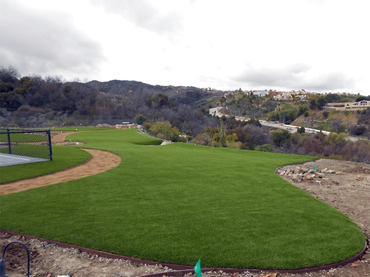 Synthetic Turf Sports Loughman Florida Back Yard