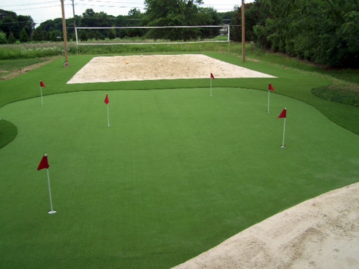 Synthetic Turf Stadium Meadow Woods Florida Parks