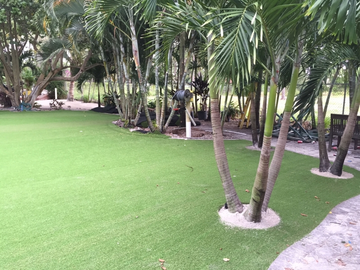 Turf Grass Grant-Valkaria, Florida Landscaping, Commercial Landscape